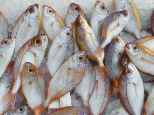mercato del pesce